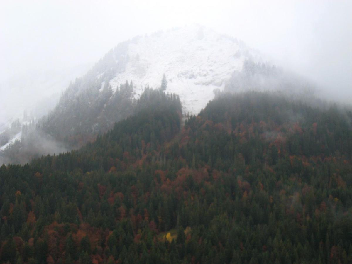 Appartement Au Pied Des Pistes, Avec Vue Sur La Montagne ベルネ エクステリア 写真